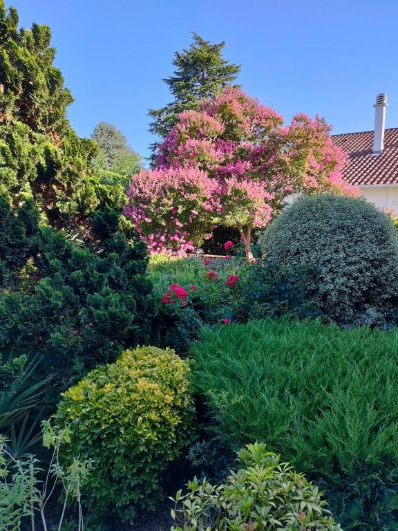 Chambre D'Hotes Les Hortensias Gelos Eksteriør bilde
